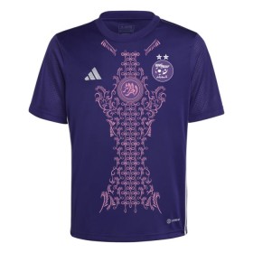 Nigeria Special Edition Fotbollströjor 2024 Kortärmad